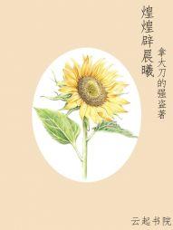 煌煌辟晨曦是贬义词吗