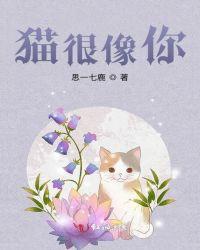 猫像主人是真的吗