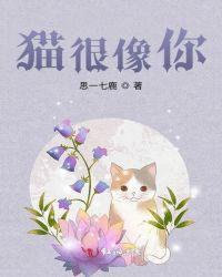 猫很像你们