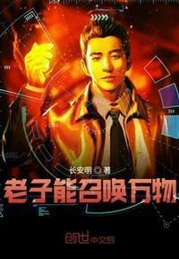 老子能召唤万物 评论
