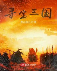 寻宝三国免费阅读