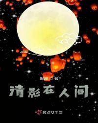 何似清影在人间