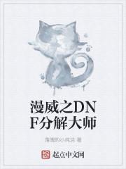 漫威之dnf分解大师