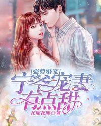 宁爷宠妻有点甜txt