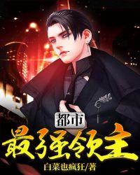 都市之最强领主秦川txt