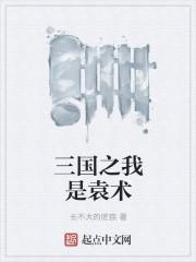 三国之我是袁术起点