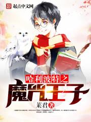 斯莱特林的魔咒王子女主是谁