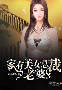 家有美女总裁老婆txt