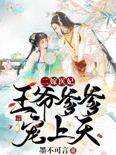 二嫁医妃