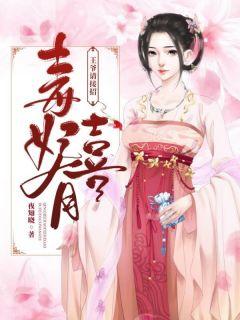 毒王妃苏浅