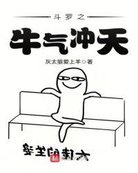 斗罗之斗气
