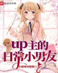 up主的日常生活