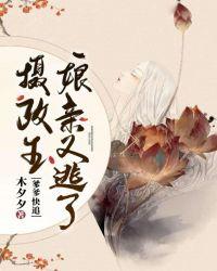 摄政王爹爹娘亲又逃了