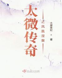 经典传奇凤凰涅槃