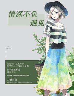 情深不负遇见免费阅读全文