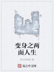 两面人生电视剧