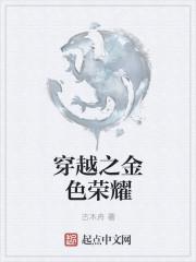 金色荣耀指标源码