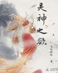 灵神之极