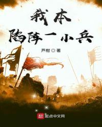 我本陷阵一小兵百科