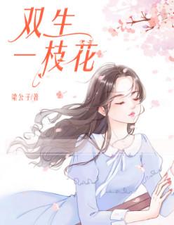双生一枝花免费阅读