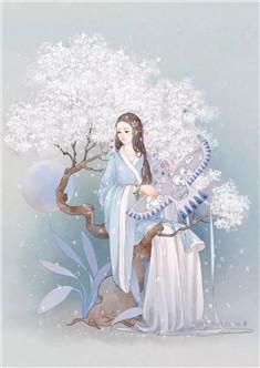 相思何苦问明月全文