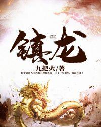 镇龙镇