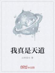 我真是天道完整版