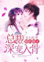 婚宠撩人总裁追妻套路深