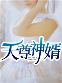 天尊神婿杨九天最新更新内容介绍