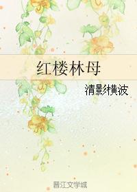 红楼林如海姨娘