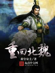 重回北魏起点