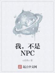 我不是NPC英语