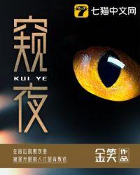 窥夜主要讲了什么