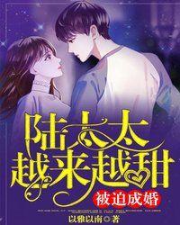 陆太太越来越甜免费