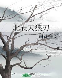 北辰天狼刃是一次性的?