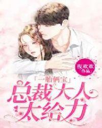 一胎俩宝总裁大人请温柔免费
