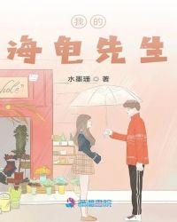 海龟先生乐队