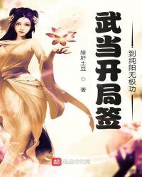 武当开局签到纯阳无极功飞卢