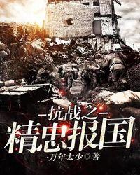 抗战之精忠报国耿云
