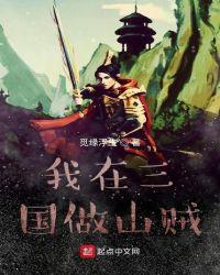 重生三国之山贼传奇
