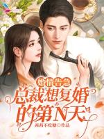 婚情告急总裁想复婚的第n天免费阅读