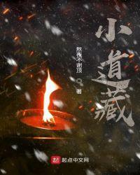 小道藏txt熬夜不谢顶
