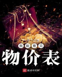 我能看见物价表TXT
