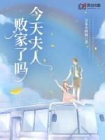 夫人今天又败家了免费阅读