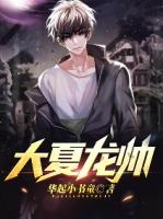 大夏龙帅陈龙沈千柔免费阅读