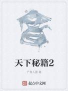 天下秘籍