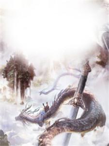绝世武魂叶辰苍狼望月