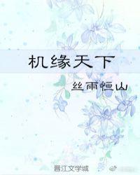 机缘天下txt