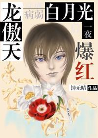 龙傲天穿成白莲花