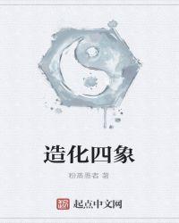 造化四象无防盗